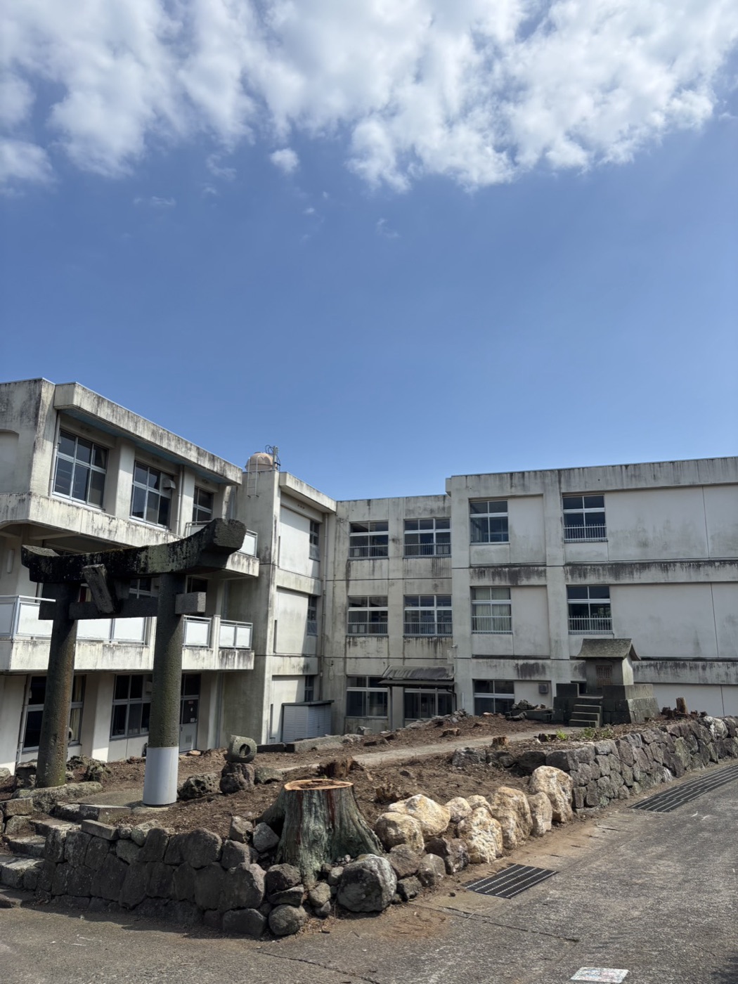 伐採の作業後