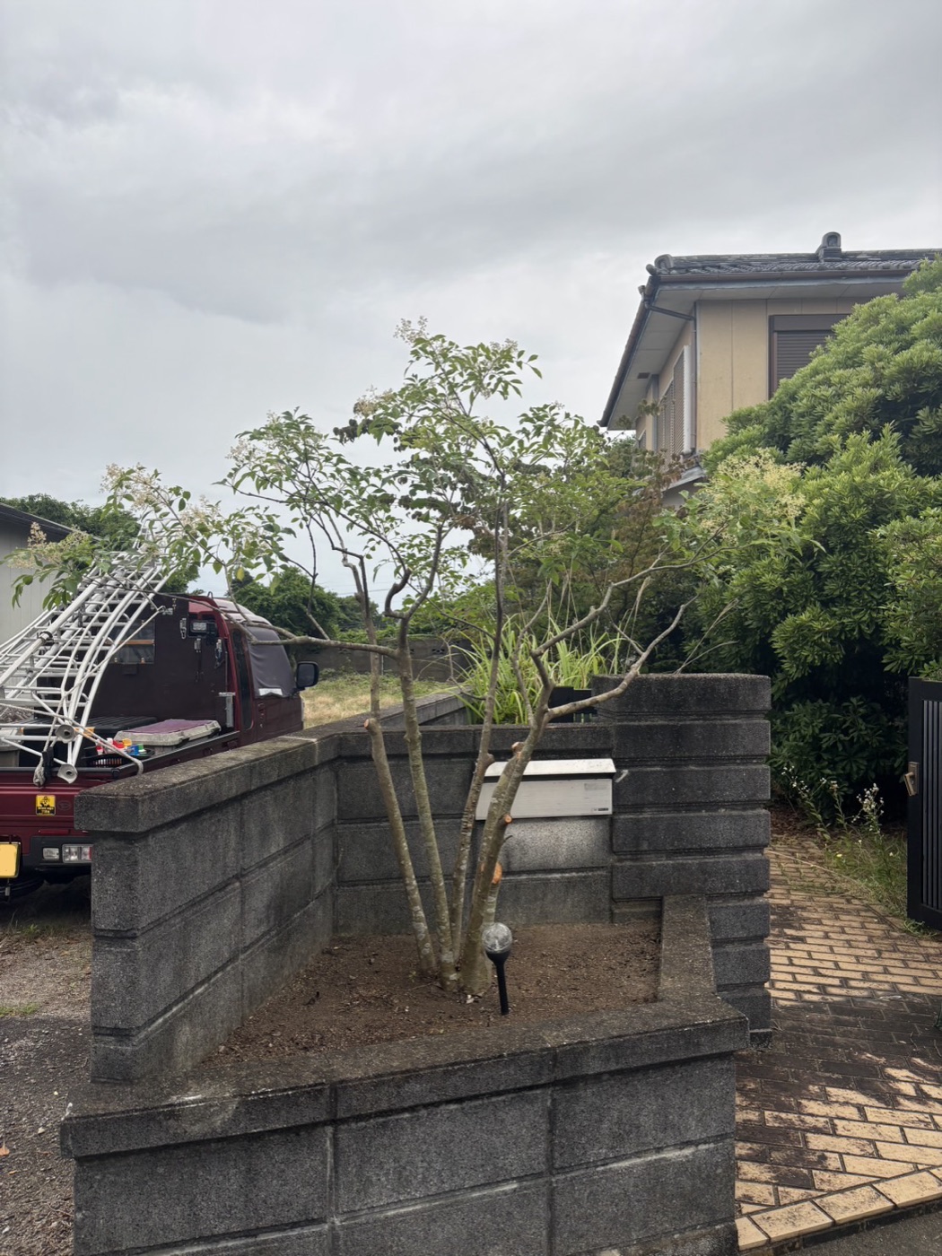 剪定の作業後